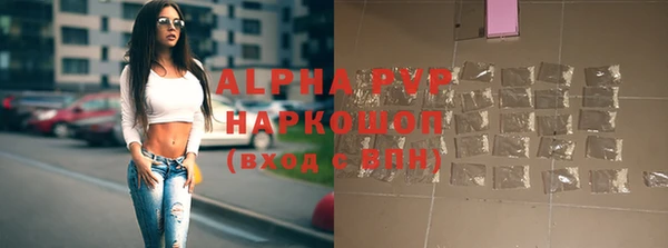 дживик Щигры